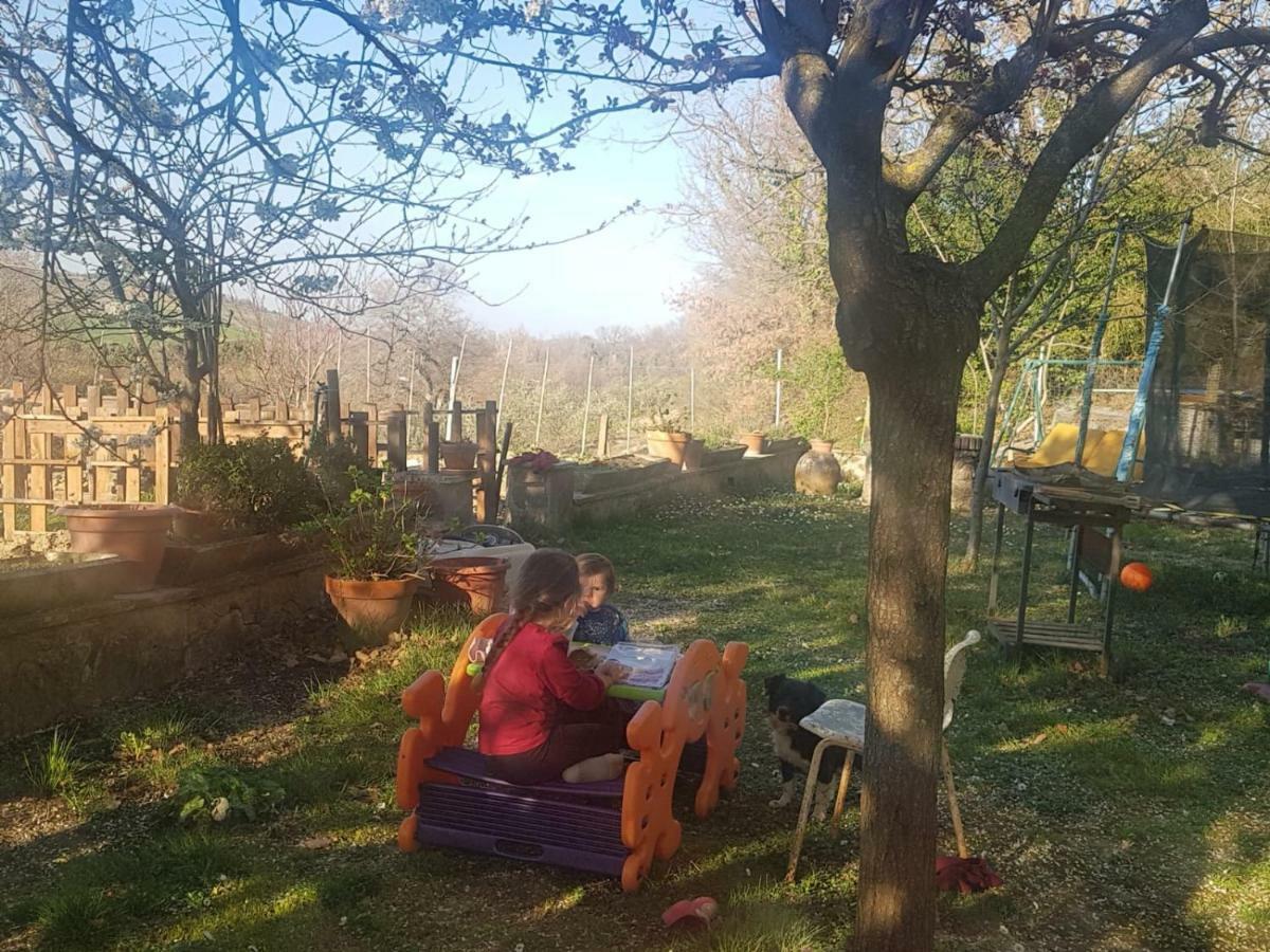 Casa vacanze La Casa Del Susino Castiglione dʼOrcia