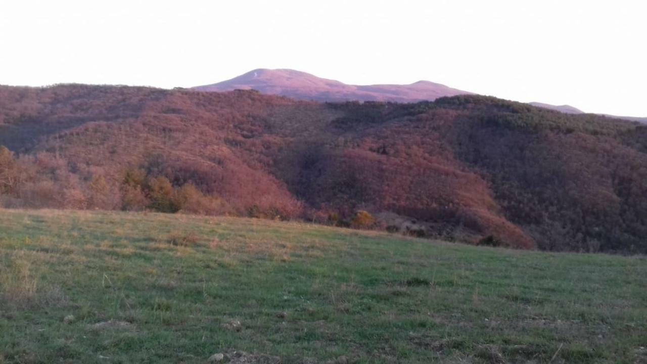 Casa vacanze La Casa Del Susino *